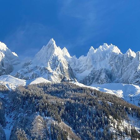Chamonix Superbe Appartement Vue Mont Blanc Eksteriør billede