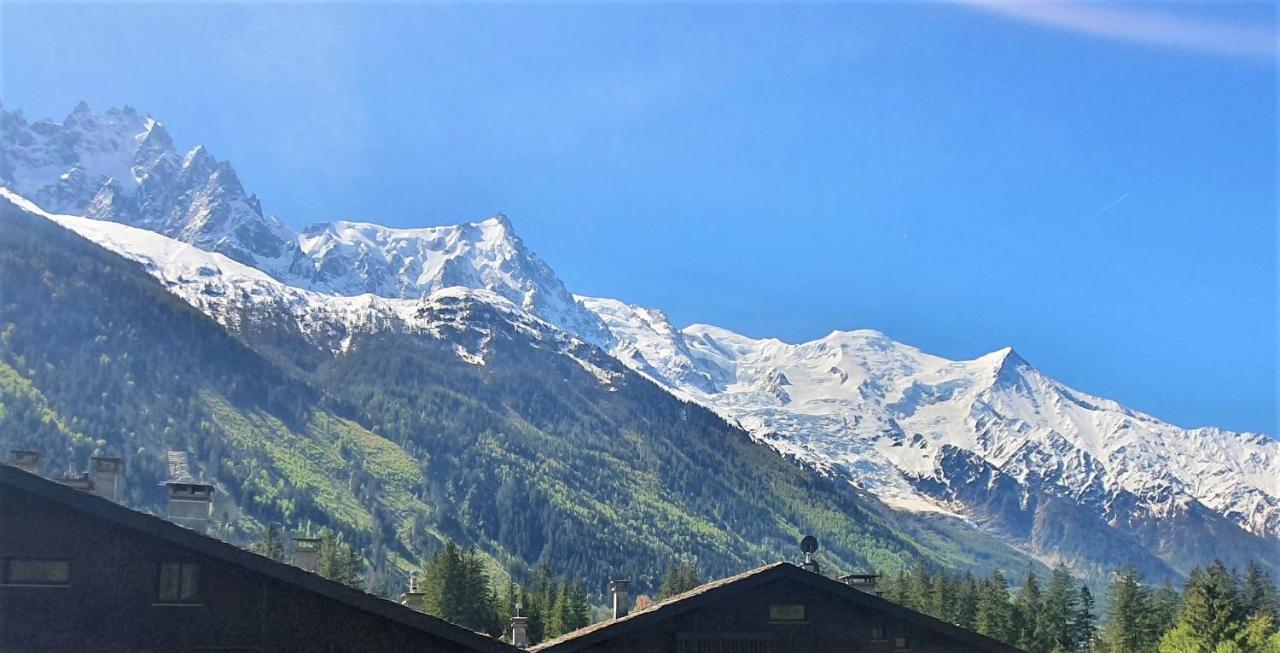 Chamonix Superbe Appartement Vue Mont Blanc Eksteriør billede