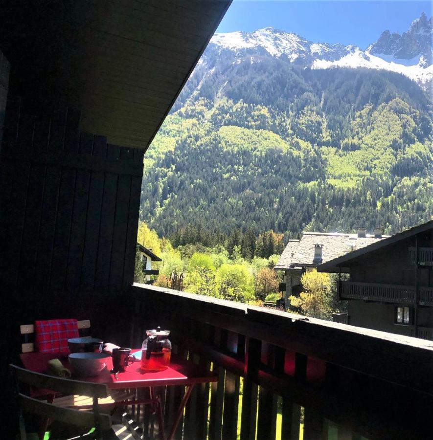 Chamonix Superbe Appartement Vue Mont Blanc Eksteriør billede