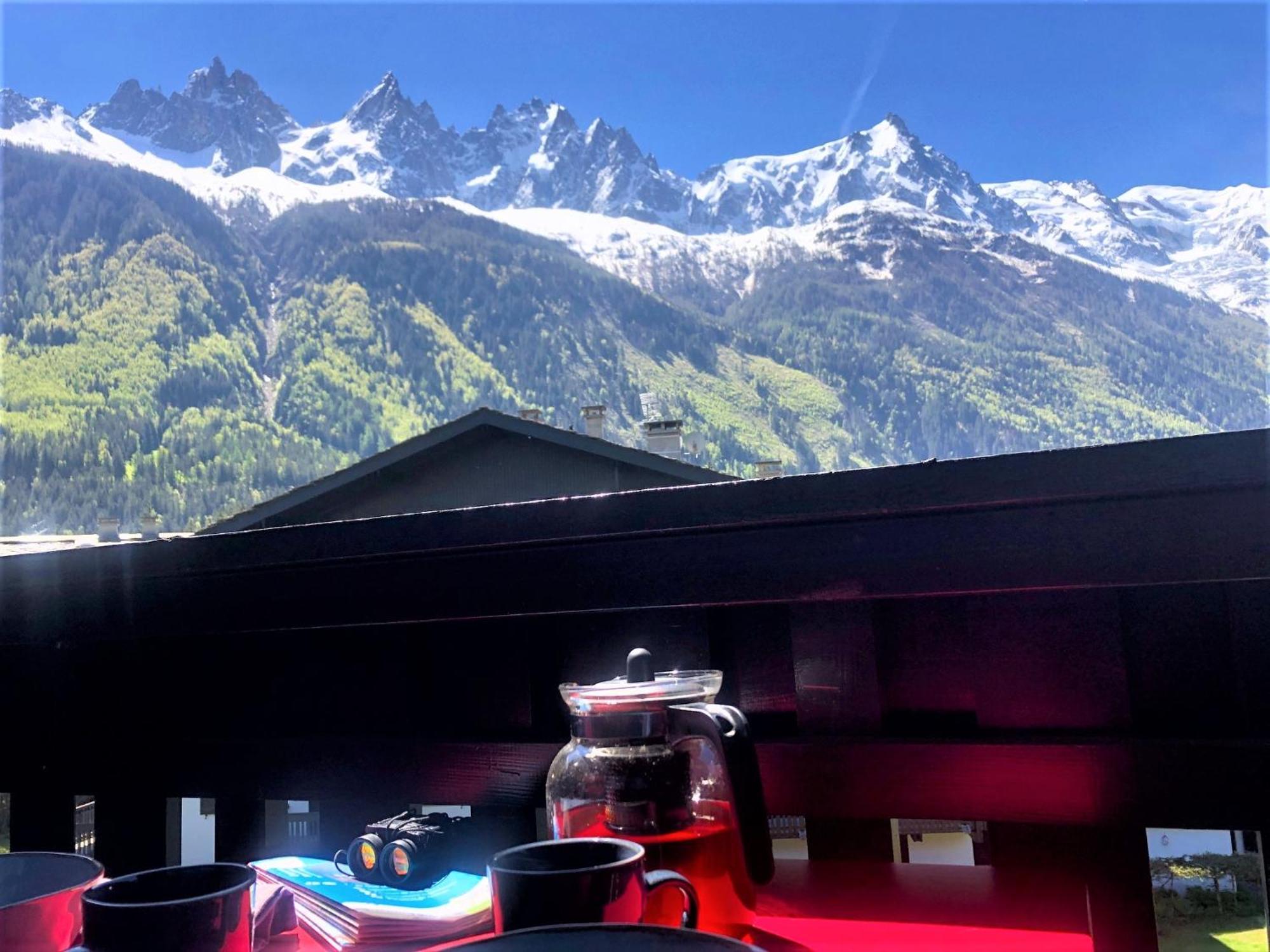 Chamonix Superbe Appartement Vue Mont Blanc Eksteriør billede