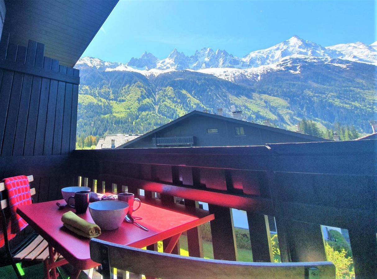 Chamonix Superbe Appartement Vue Mont Blanc Eksteriør billede