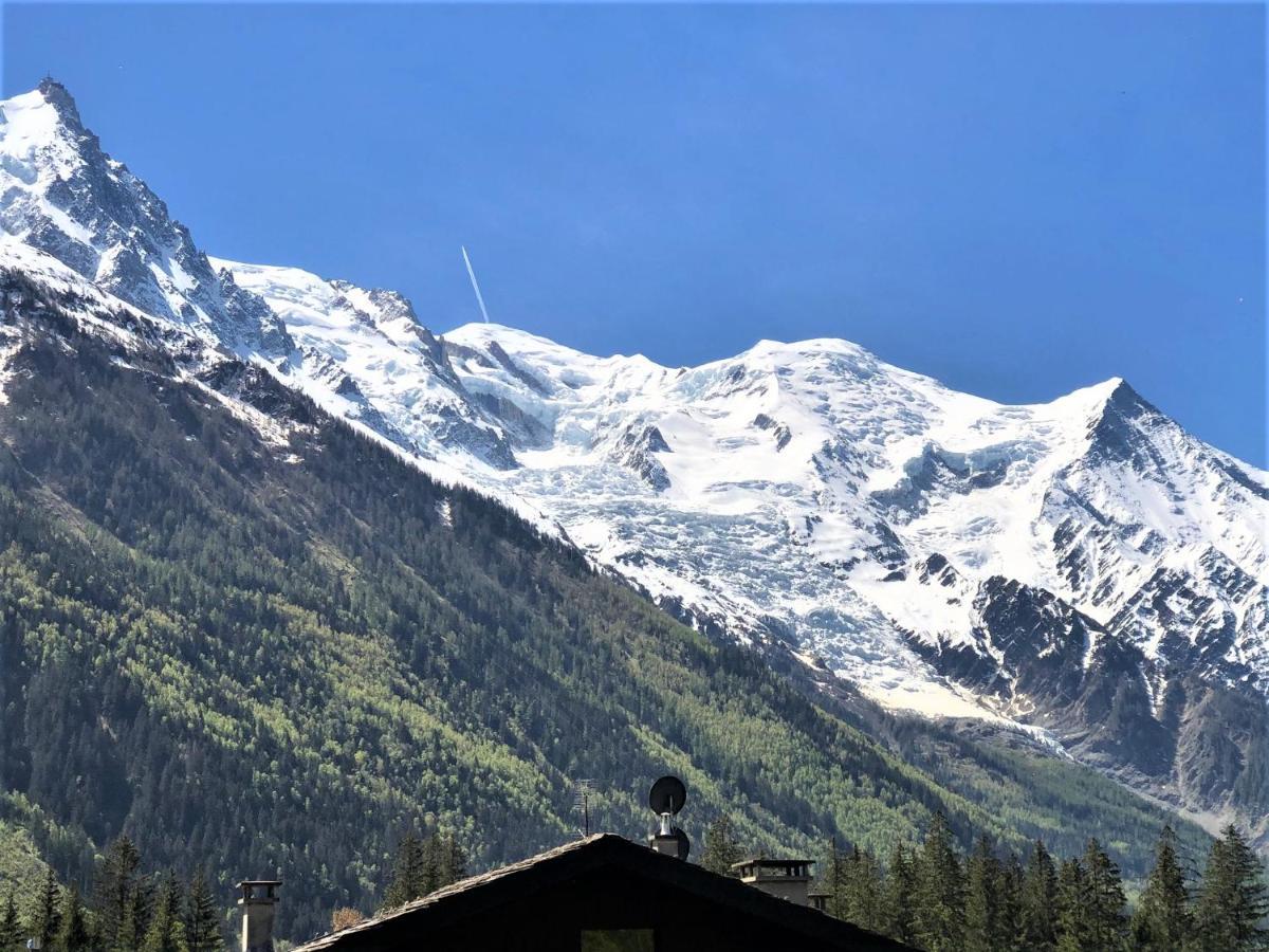 Chamonix Superbe Appartement Vue Mont Blanc Eksteriør billede