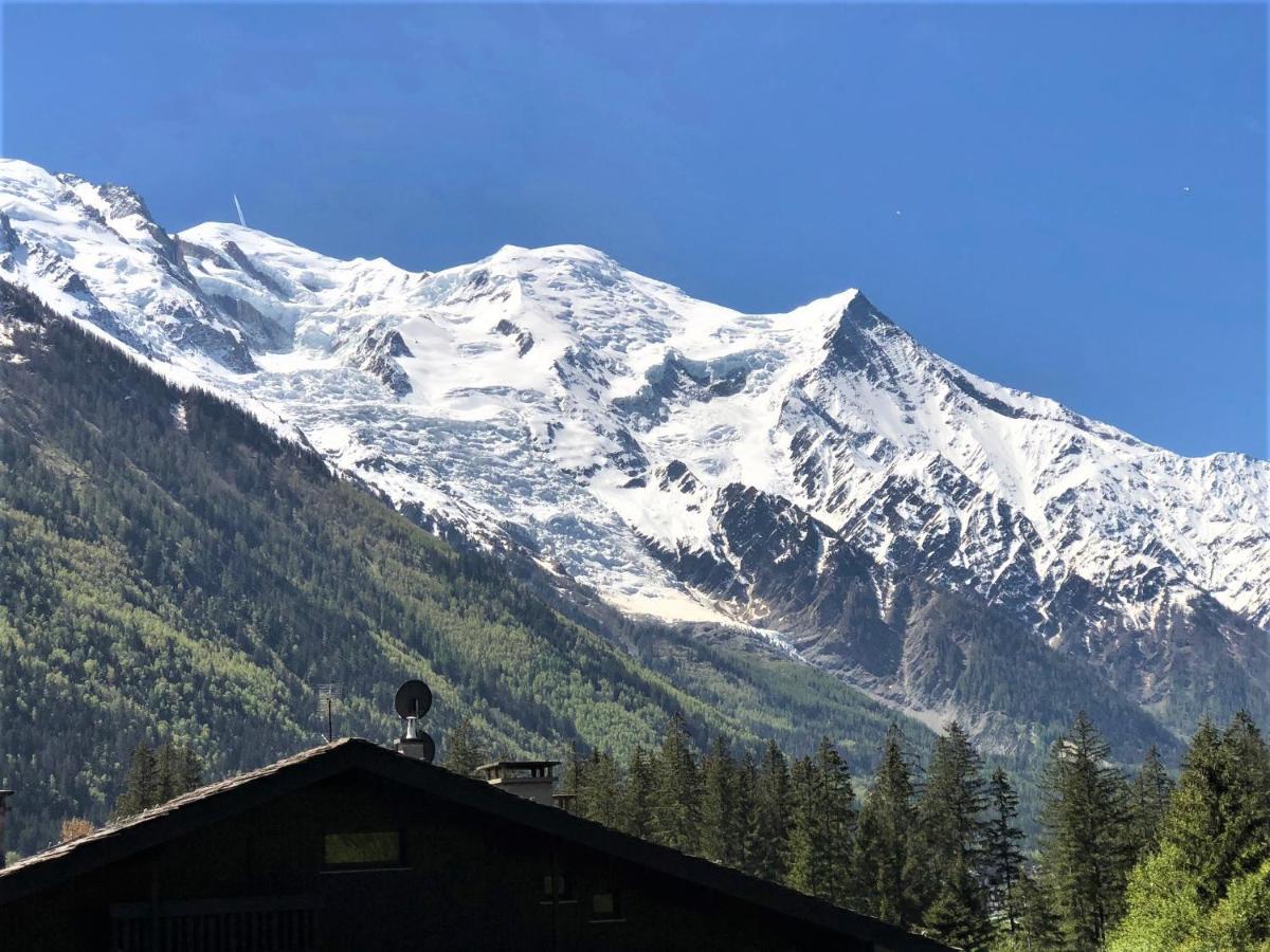 Chamonix Superbe Appartement Vue Mont Blanc Eksteriør billede