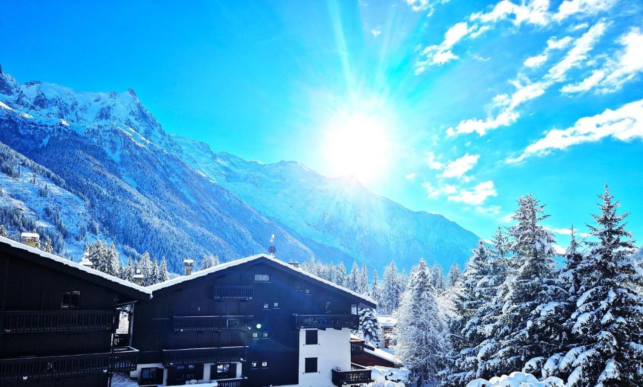 Chamonix Superbe Appartement Vue Mont Blanc Eksteriør billede