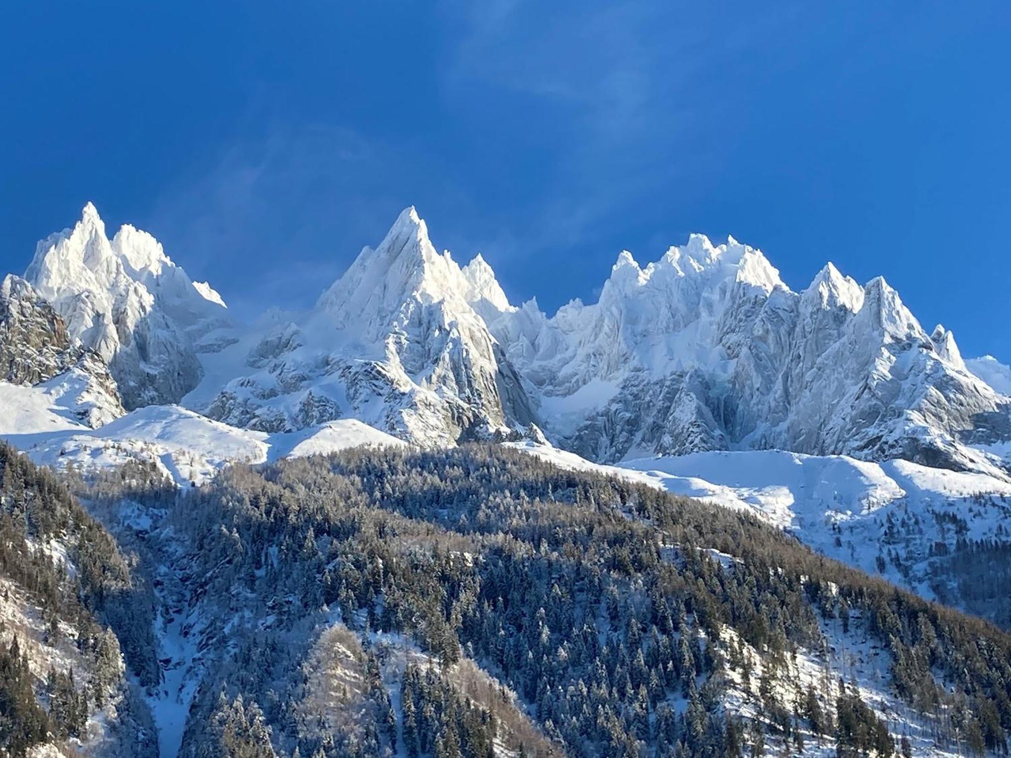 Chamonix Superbe Appartement Vue Mont Blanc Eksteriør billede